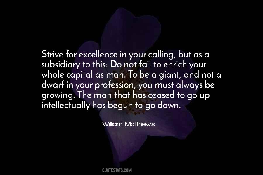 Always Strive For Excellence Quotes #1836577