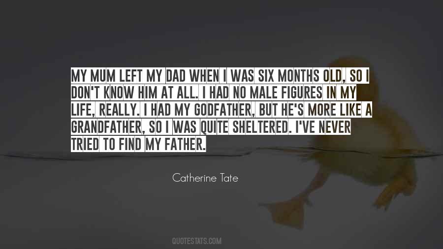 Quotes About My Godfather #1501779