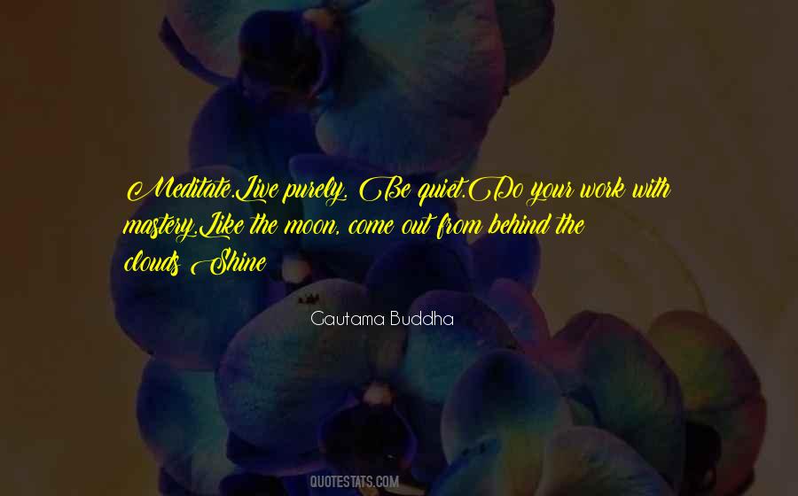 Always The Quiet Ones Quotes #7947