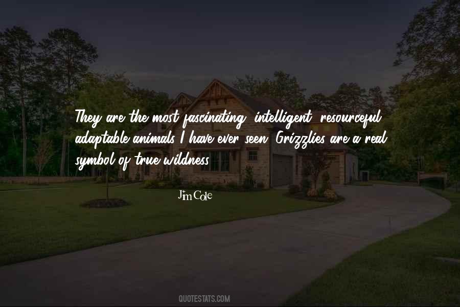 Quotes About My Favorite Teacher #1680070