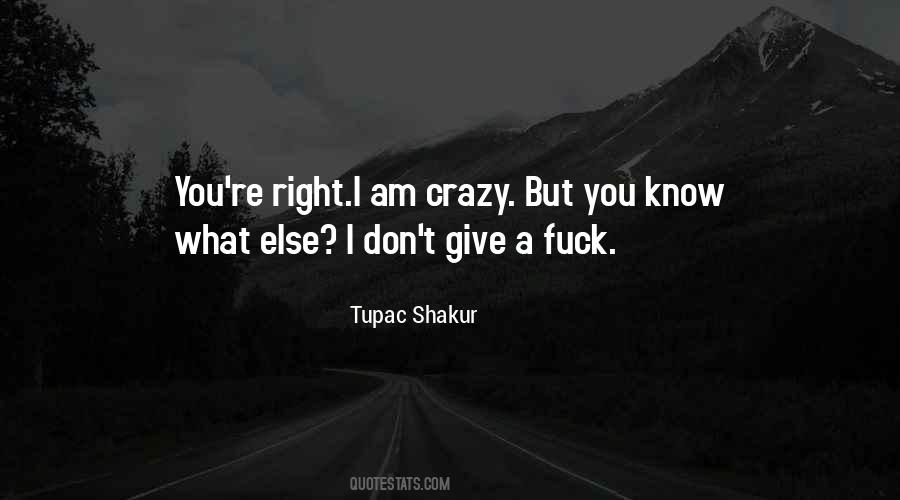 Am I Crazy Quotes #363188