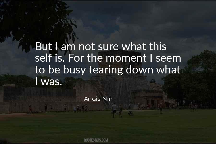 Am Not Sure Quotes #302400