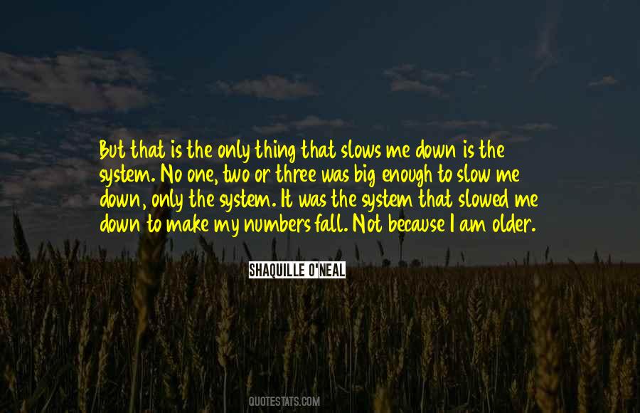 Am Not The Only One Quotes #1786302