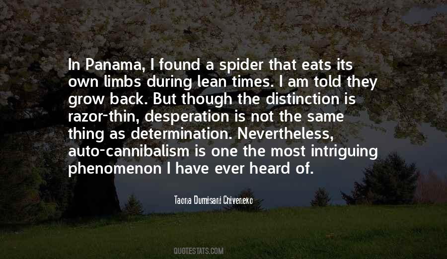 Am Not The Same Quotes #684043