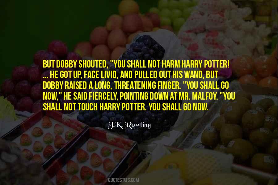 Dobby Harry Quotes #335842