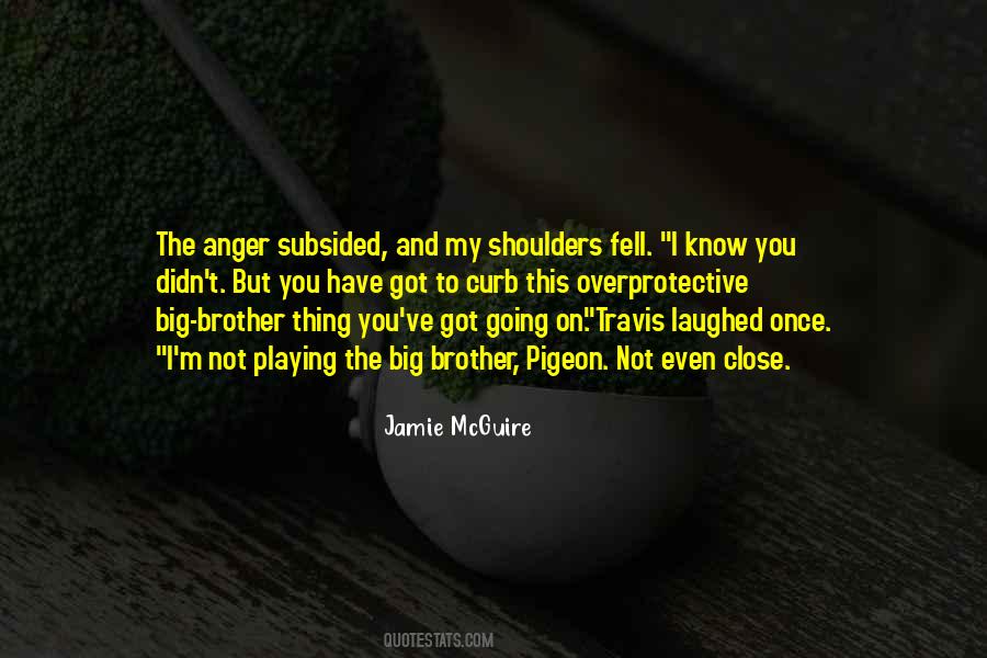 Quotes About My Big Brother #265013