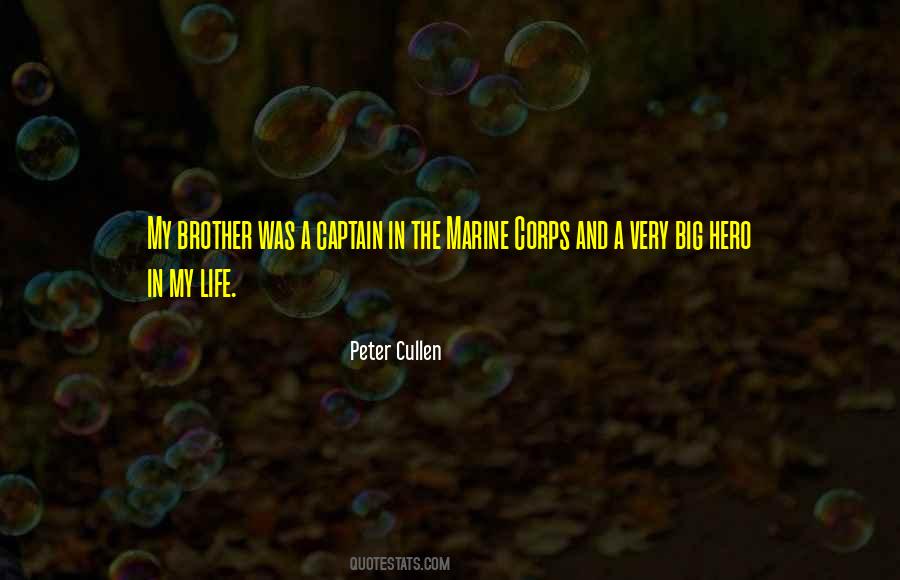 Quotes About My Big Brother #522137