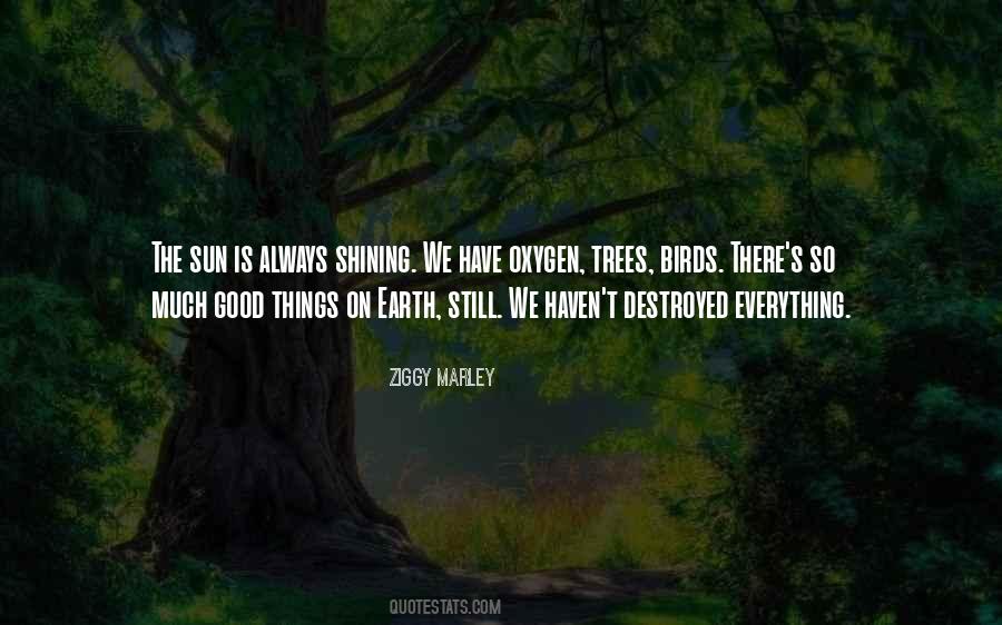 Everything On Earth Quotes #373076