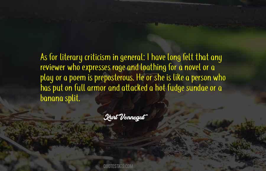 Novel Criticism Quotes #797595