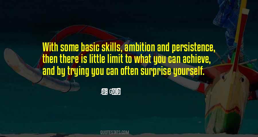 Ambition And Persistence Quotes #327504