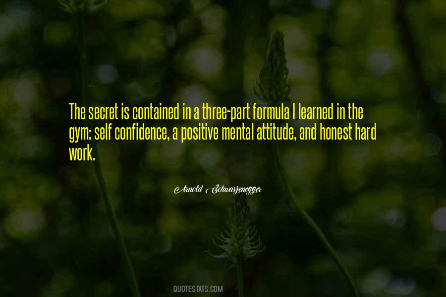 Mental Attitude Quotes #501151