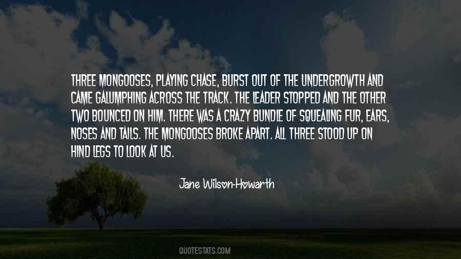 Hind Legs Quotes #1301501