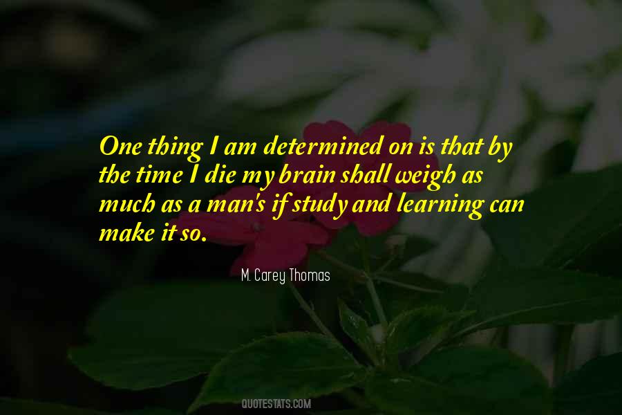 A Determined Man Quotes #602824