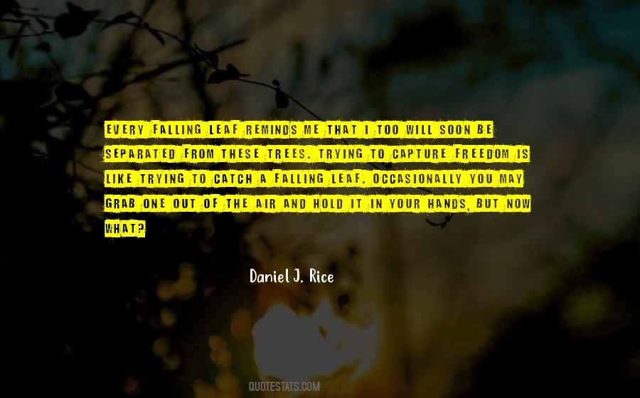 Wild Rice Quotes #67928