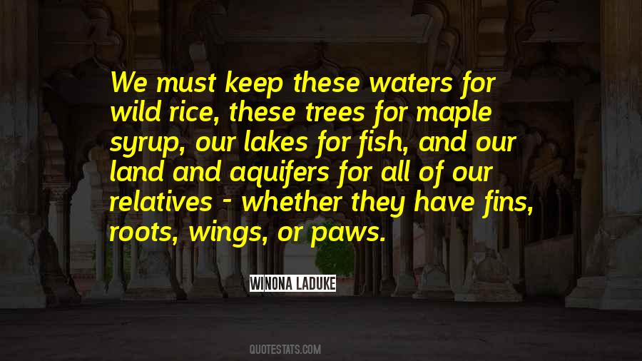 Wild Rice Quotes #718340