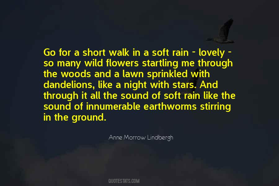 Through Rain Quotes #80440