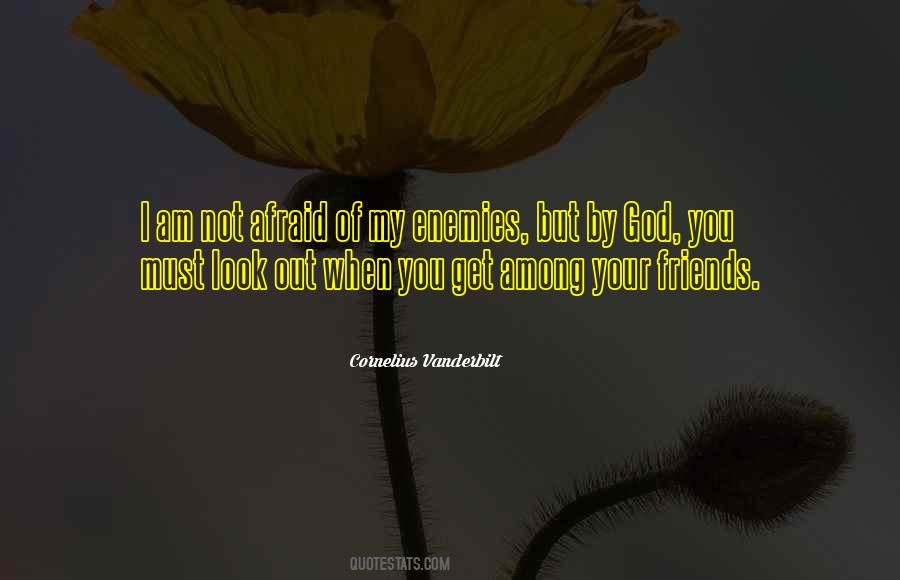 Among The Enemy Quotes #398551