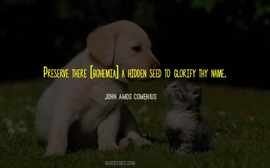 Amos Comenius Quotes #284963