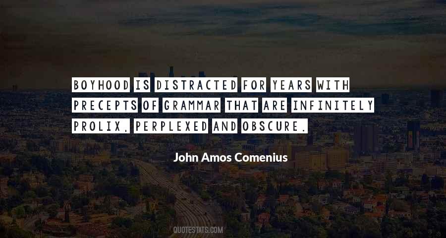 Amos Comenius Quotes #488948