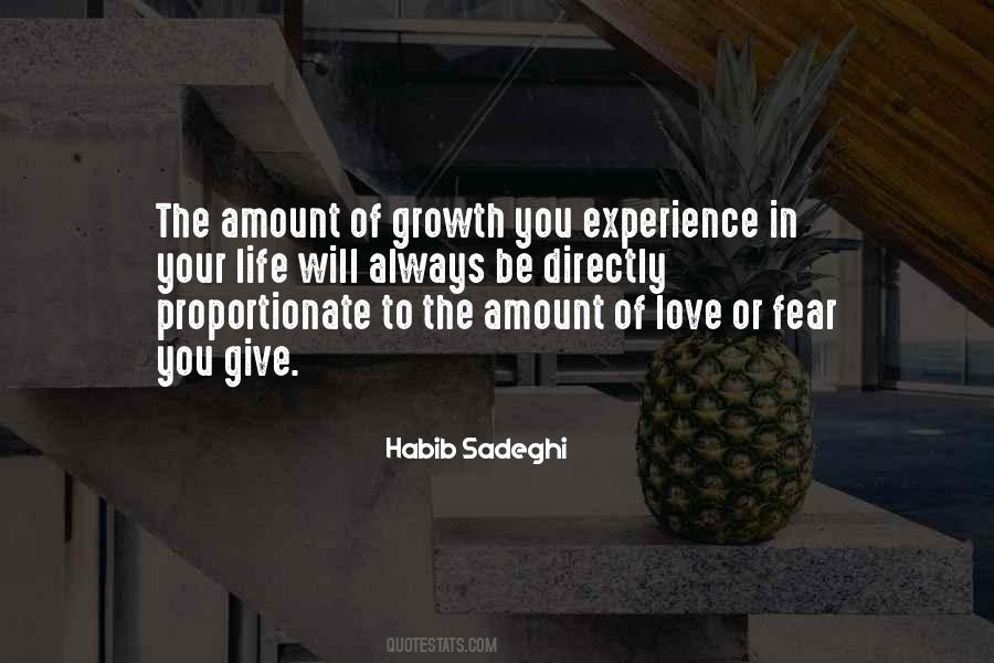 Amount Of Love Quotes #284342