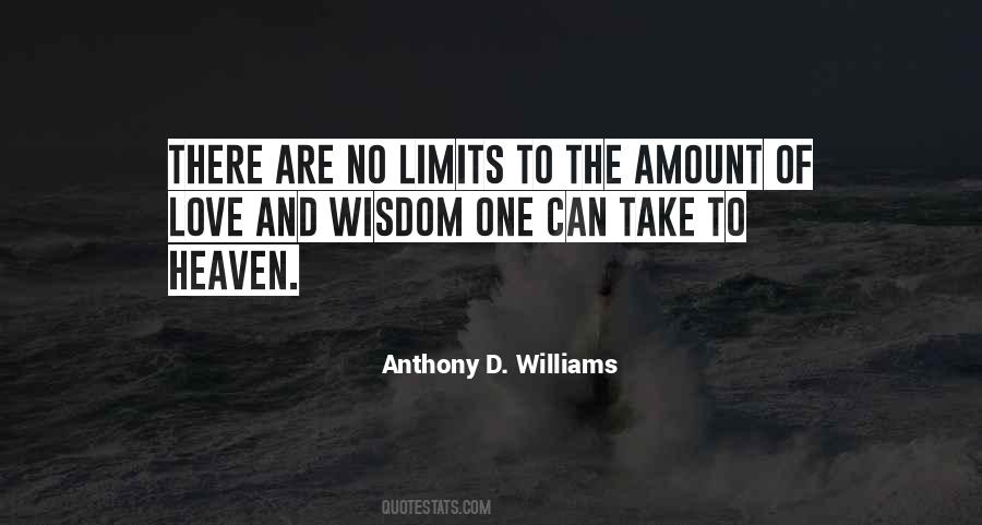 Amount Of Love Quotes #749070