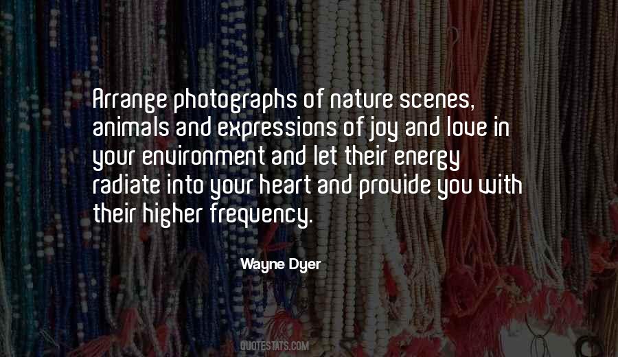 Your Frequency Quotes #1112027