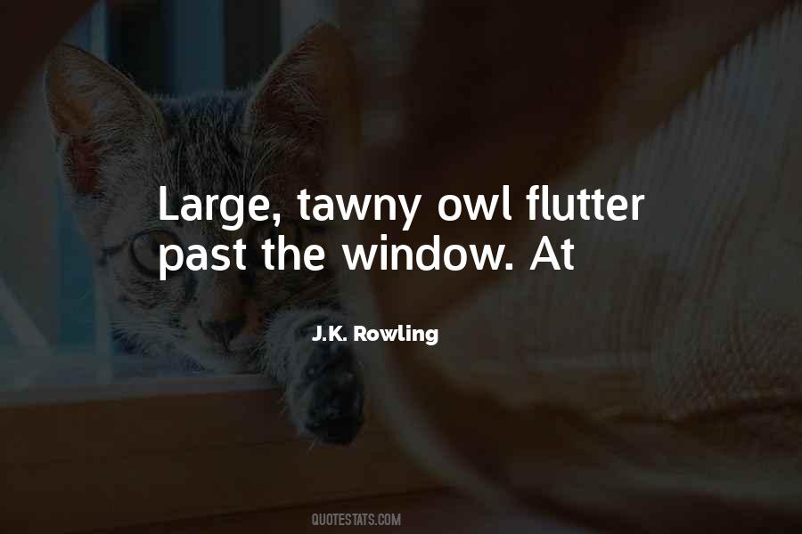 Tawny Owl Quotes #241937