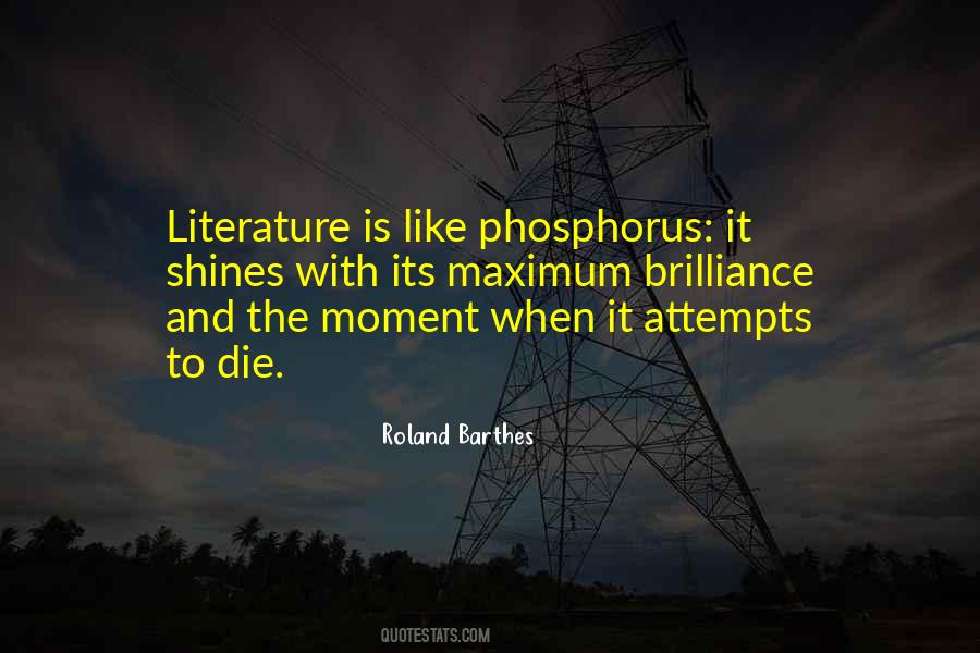 Literature Theory Quotes #1100433