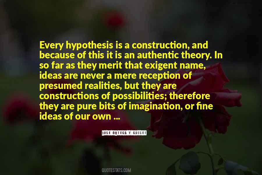 Quotes About Theory And Reality #463464