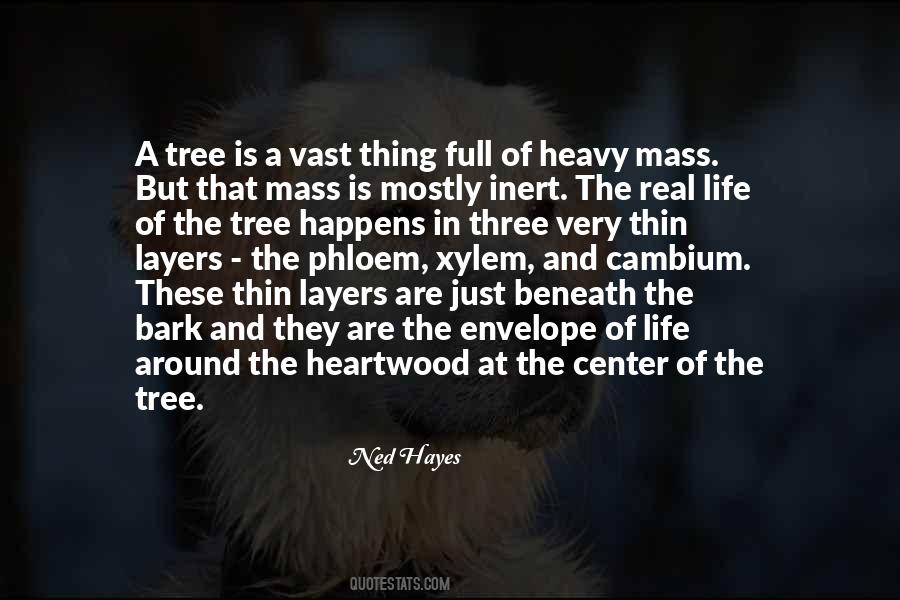 Bark On A Tree Quotes #1037673