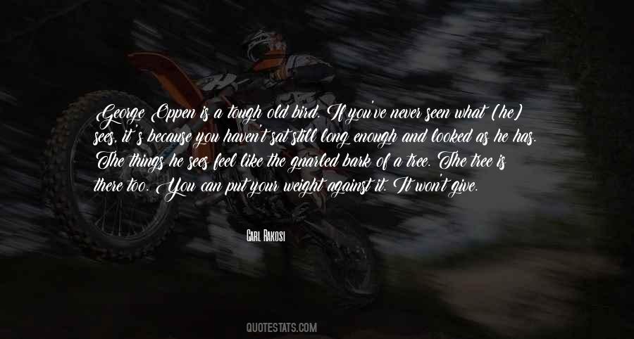 Bark On A Tree Quotes #401999
