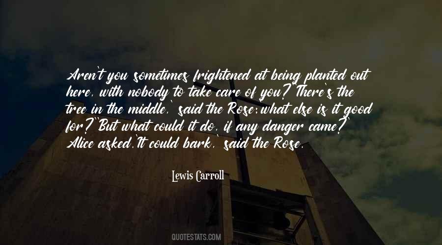 Bark On A Tree Quotes #939419