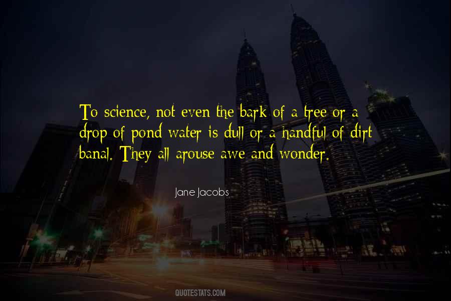 Bark On A Tree Quotes #957114