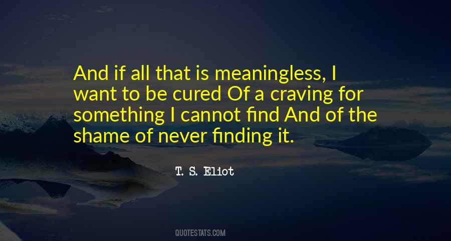 Finding It Quotes #1407372