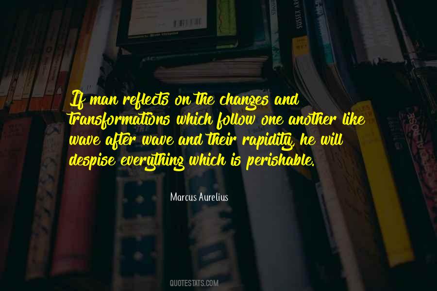 And Just Like That Everything Changes Quotes #565103