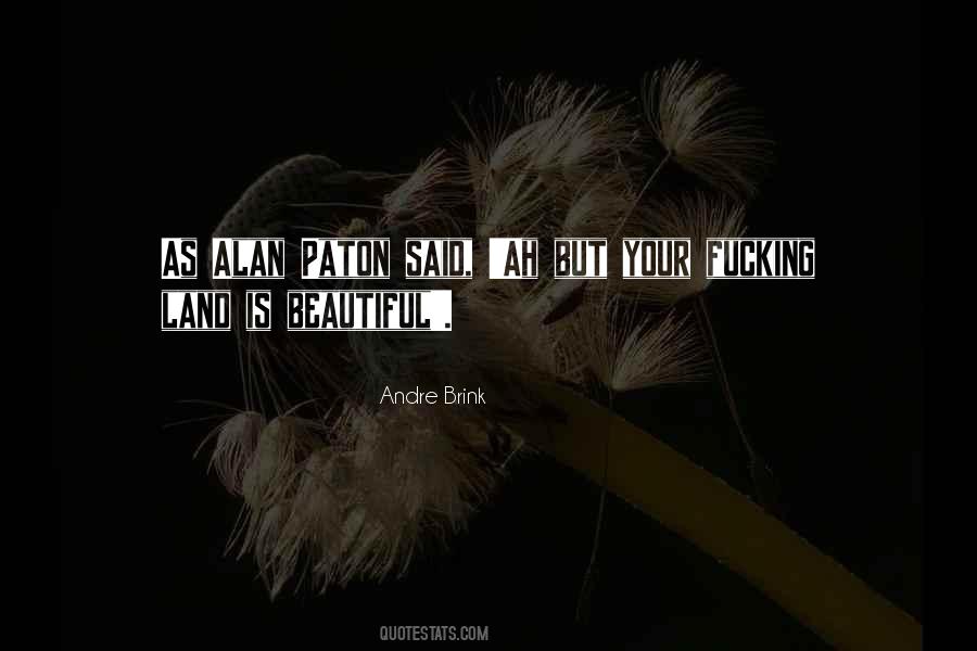 Andre P Brink Quotes #364515