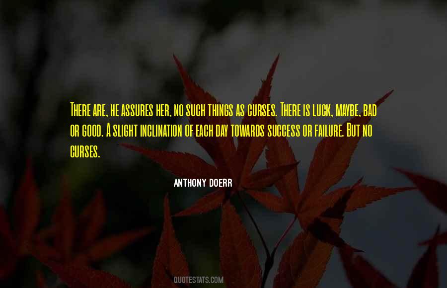 Success Is Not Luck Quotes #505775