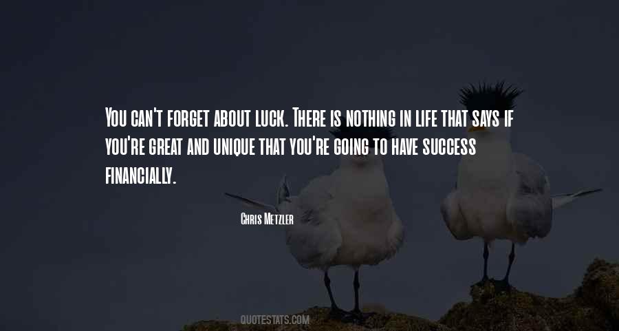 Success Is Not Luck Quotes #507718