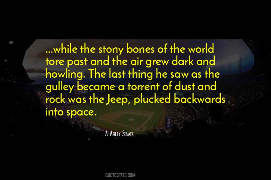 Last Thing Quotes #1383729