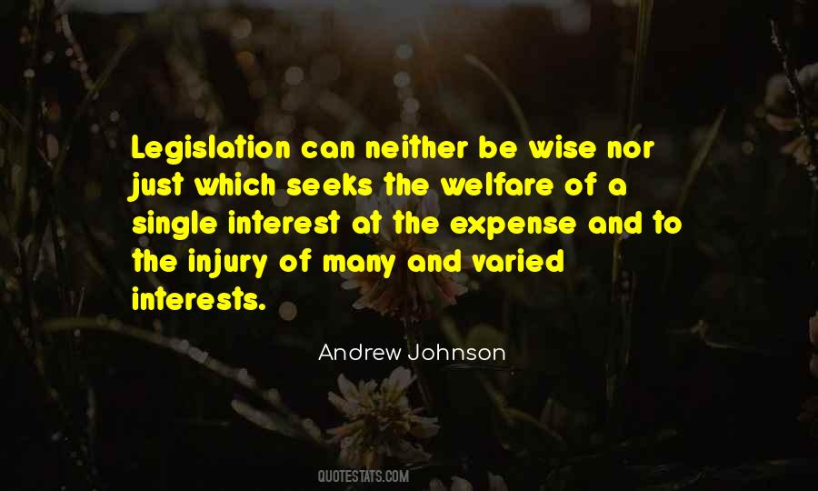 Andrew Johnson's Quotes #876073