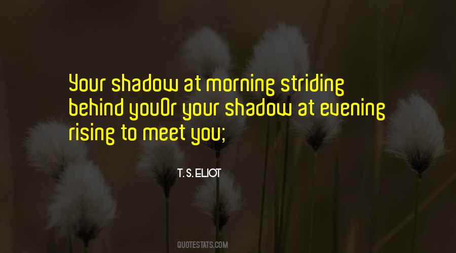 Your Shadow Quotes #517124