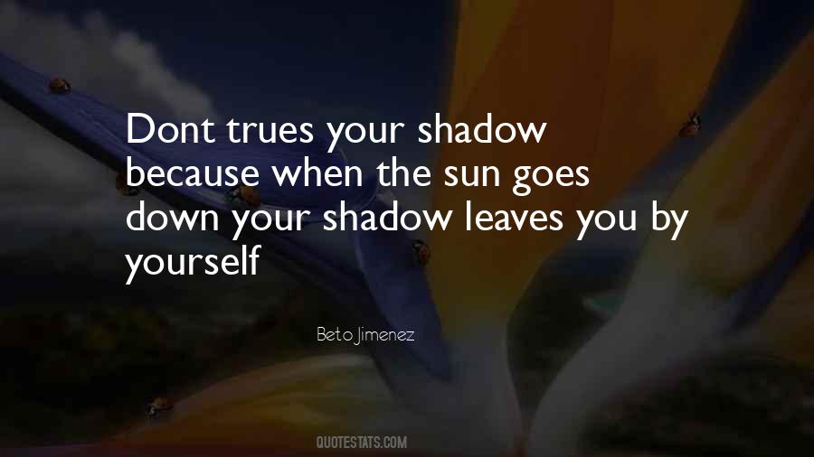 Your Shadow Quotes #646395