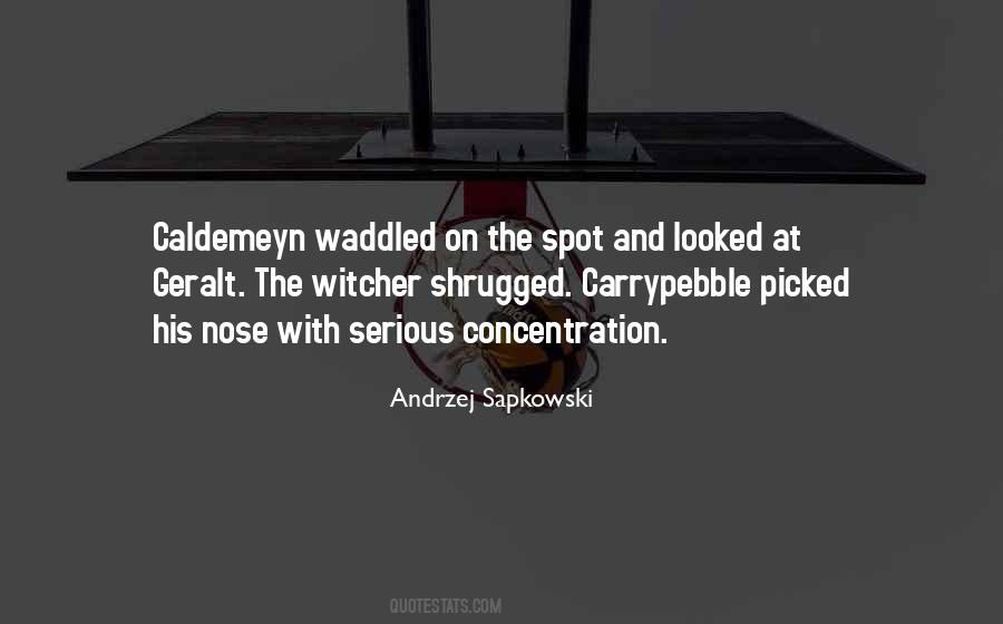 Andrzej Sapkowski Witcher Quotes #626681