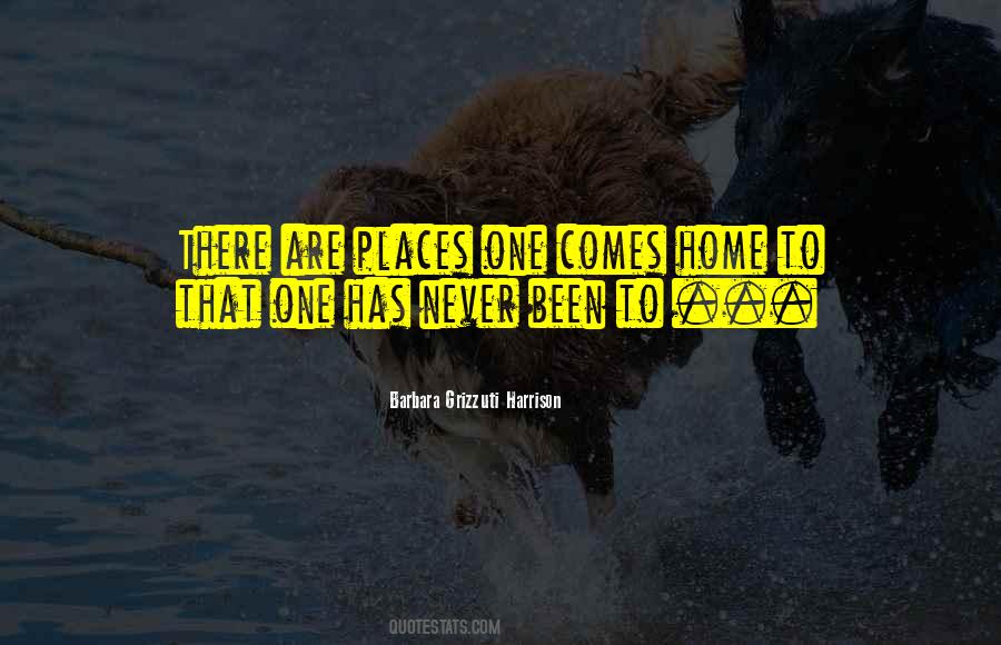Yle Bir Ge Er Zaman Ki Quotes #687478