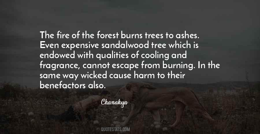 Burning Forest Quotes #226431
