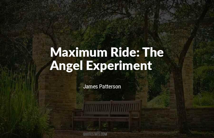 Angel Experiment Quotes #429776