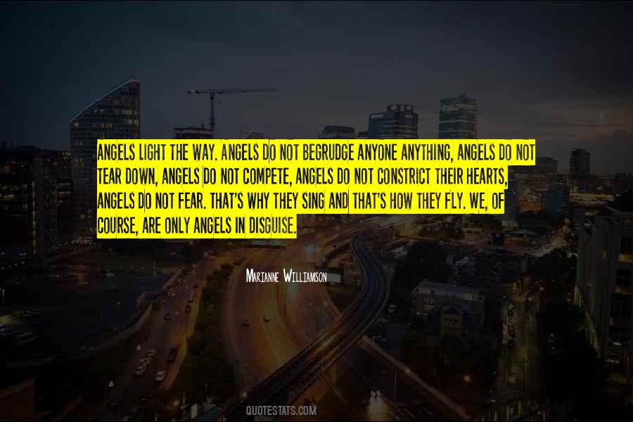 Angel In Disguise Quotes #835298
