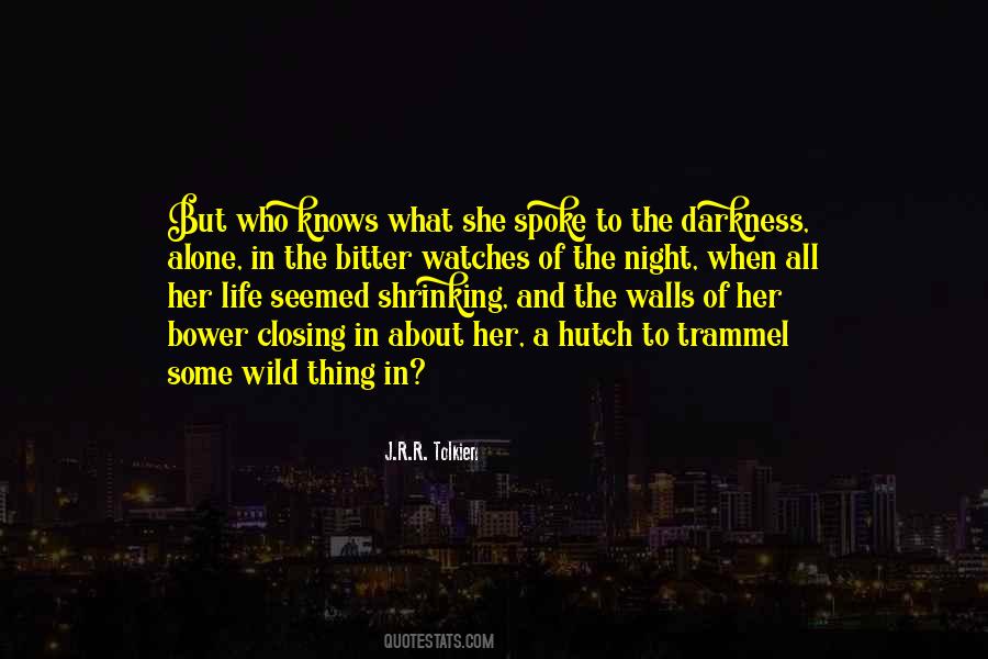 Night And Darkness Quotes #621520