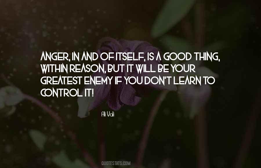Anger For No Reason Quotes #1758527