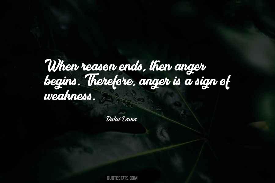 Anger For No Reason Quotes #684513